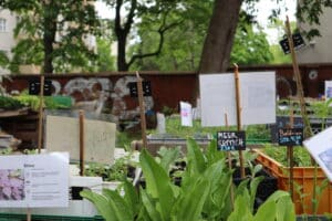 ElisaBeet Pflanzenmarkt, Tag der Städtebauförderung 2026